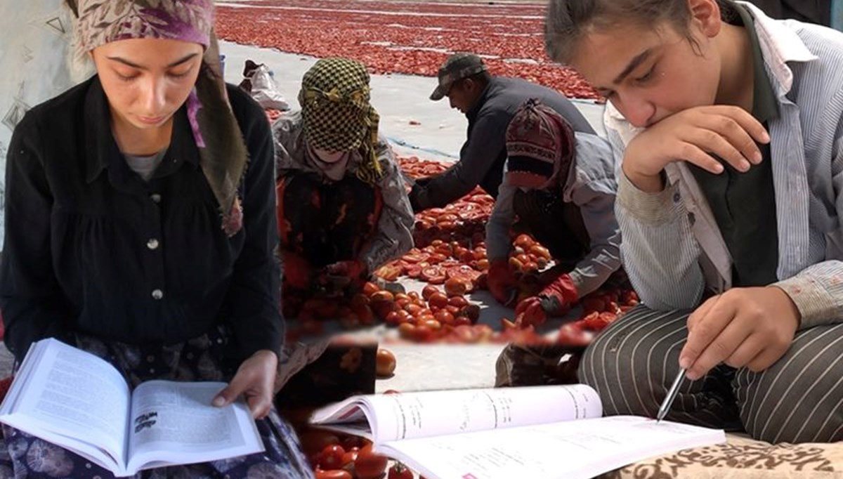 Mevsimlik işçi Selma ve İlknur'un sınav başarısı